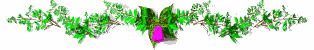 pink flower divider