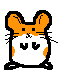 hammy hamster